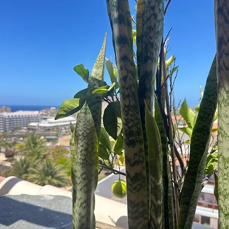 Chic & Artistic Los Cristianos Apartamento *